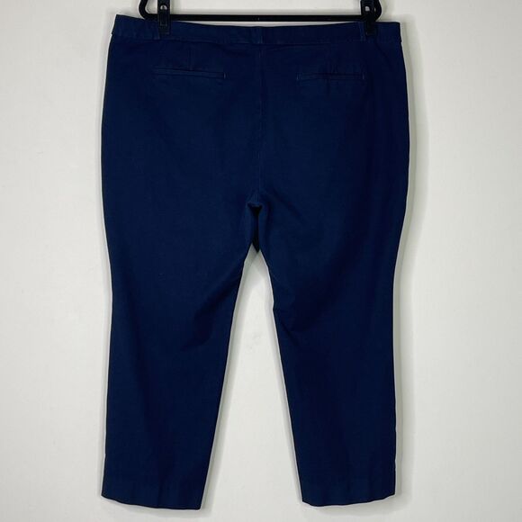 Banana Republic Ryan Slim Straight Washable Bi-Stretch Pant Plus Size 20 Short - Picture 7 of 8